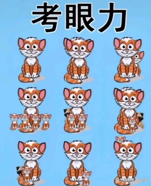 宠物连连看26版,宠物连连看30精装版 宠物连连看26版,宠物连连看30精装版
