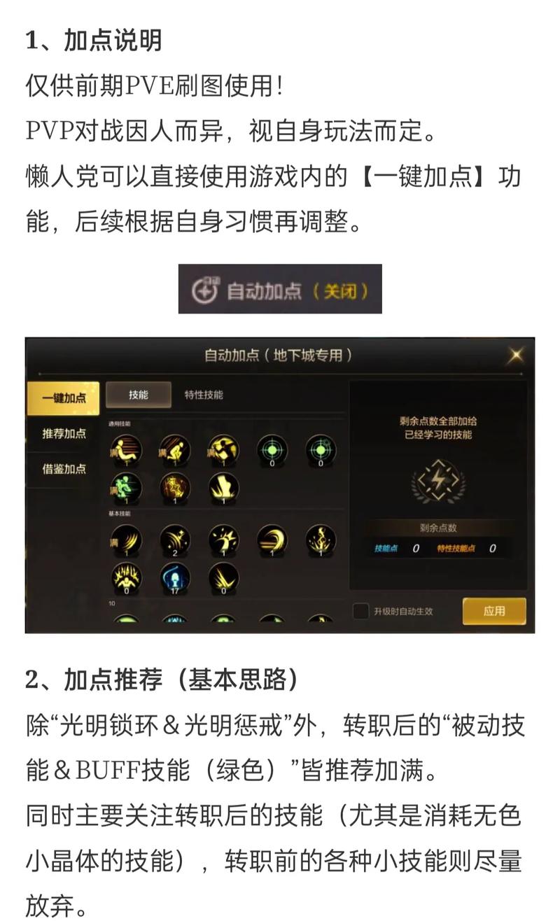 dnf女圣骑士加点？dnf女圣骑士技能加点
