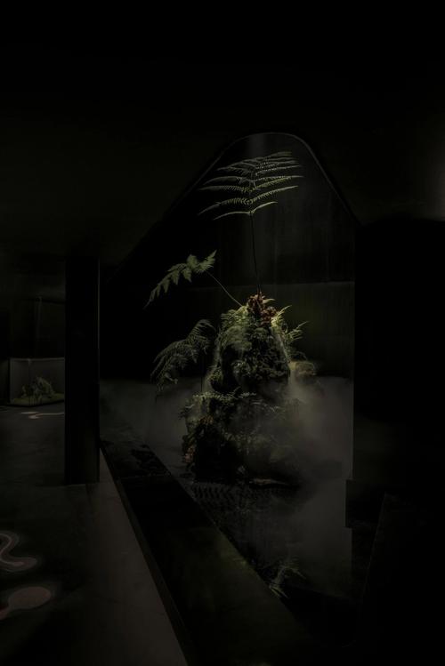 dnf黑色的魔物庭院在哪里，dnf黑色的魔物庭院怎么过